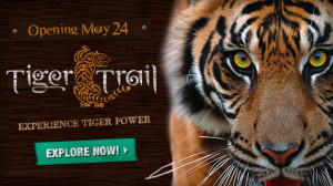 Tiger Trail