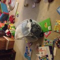 photo(48)