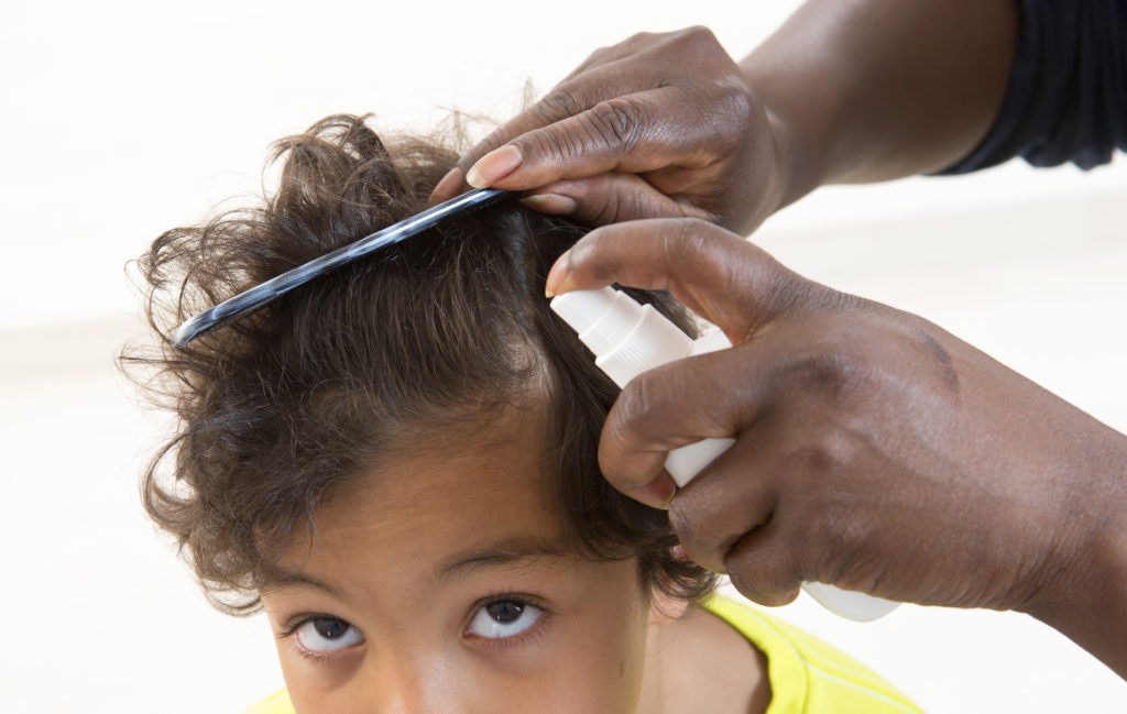  Why Kids With Lice Should Be Allowed to Stay at School 